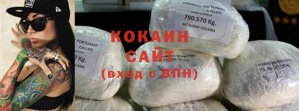 стаф Верея