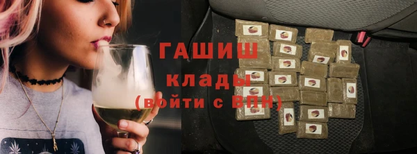 стаф Верея