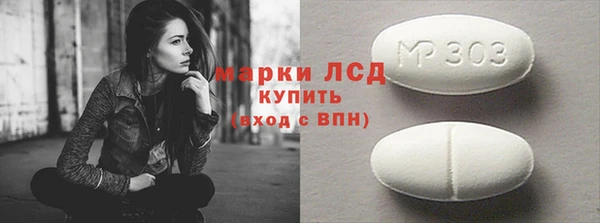 стаф Верея