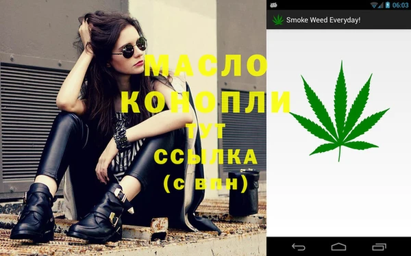 стаф Верея