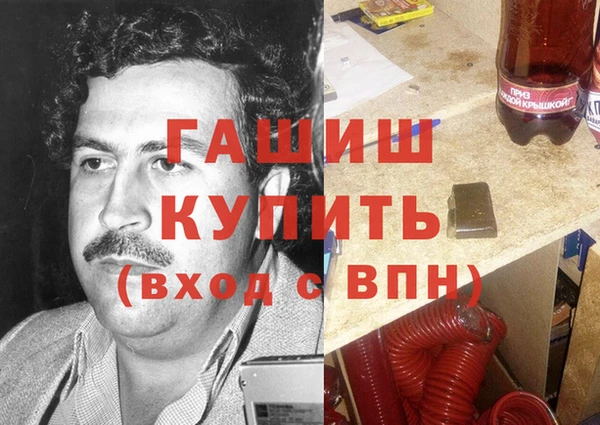 стаф Верея