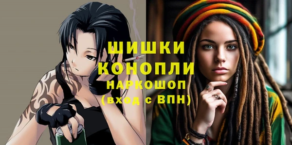 стаф Верея