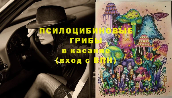 стаф Верея