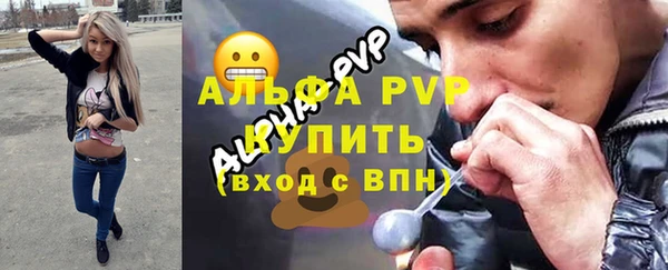 стаф Верея