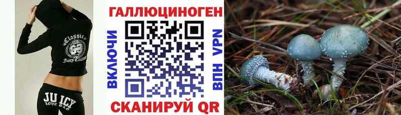Купить где  Пролетарск  Псилоцибиновые грибы Cubensis 